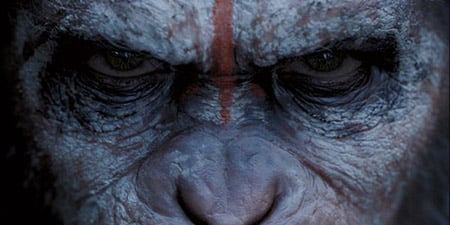 Daha fazla Dawn of the Planet of the Apes