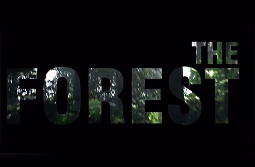 The Forest güncellenmeye devam ediyor!