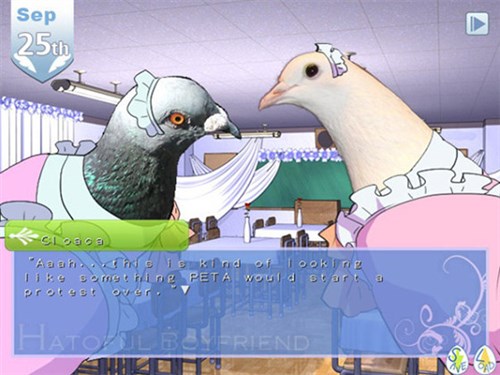 Güvercinlerin aşkı Steam'de