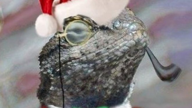 İngiltere'de 6 genç Lizard Squad iddiası ile tutuklandı!