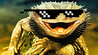 Lizard Squad, Lenovo'nun resmi sitesine mi saldırdı?