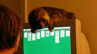 Solitaire için Windows 10 da paralı yükseltme geldi