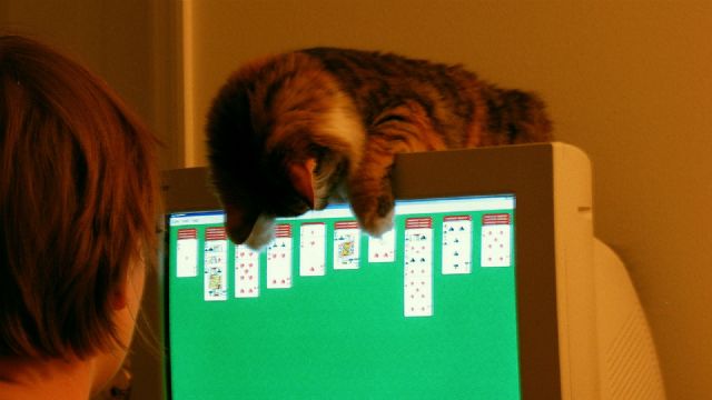 Solitaire için Windows 10 da paralı yükseltme geldi