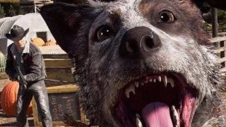 Yeni güncelleme ile Far Cry 5'e beklenen fotoğraf modu geldi