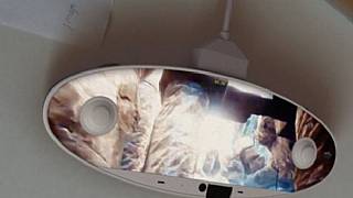 Nintendo NX'in kontrolcüsü gözüktü!