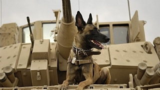 Max’in fragmanı yayımlandı