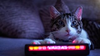 Oyun Dünyasında Devrim: MiauStation