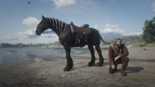 Red Dead Online'da oyuncular at mezarlığı ile karşılaşıyor