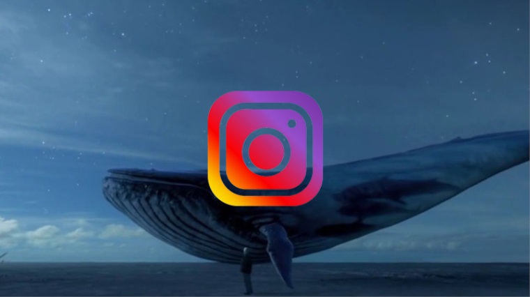 Instagram'dan Mavi Balina önlemi