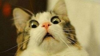 Yumruk atarak Dark Souls'ta boss kesen oyuncu ünlü oldu