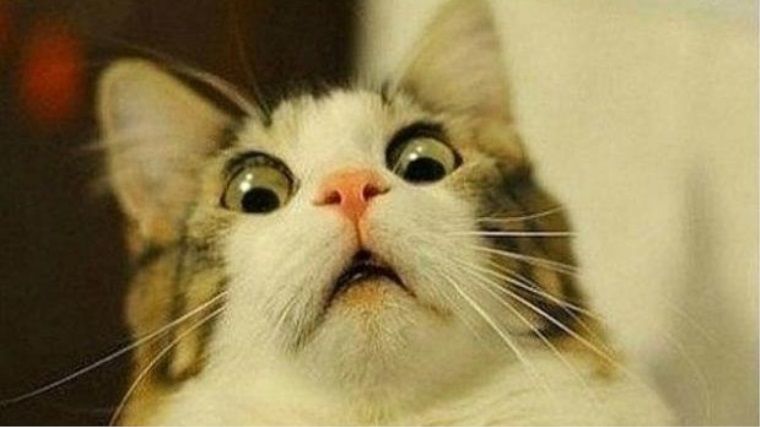 Yumruk atarak Dark Souls'ta boss kesen oyuncu ünlü oldu