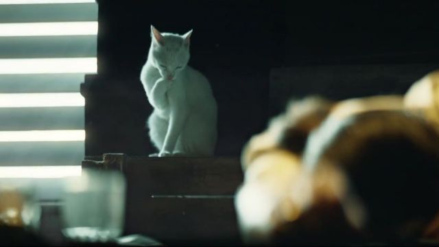 Ghost Recon: Wildlands'ın Live Action videosunu görmelisiniz