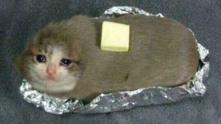 Video oyunu 2 milyon adet sattı ama kendini rezil hissediyor