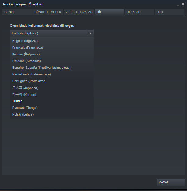 Rocket League Epic ve Steam'de nasıl Türkçe yapılır?