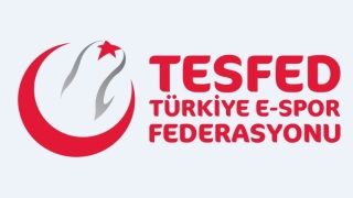 Bakanlığa bağlı Espor Federasyonu'nun yönetim kurulu açıklandı