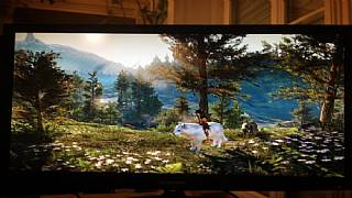 Unuttuğumuz oyun WiLD hala geliştiriliyormuş!