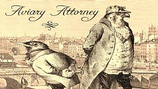 Phoenix Wright'ın meslektaşı bu sefer bir kuş!