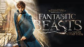 Fantastic Beasts and Where to Find Them nasıl bir film?