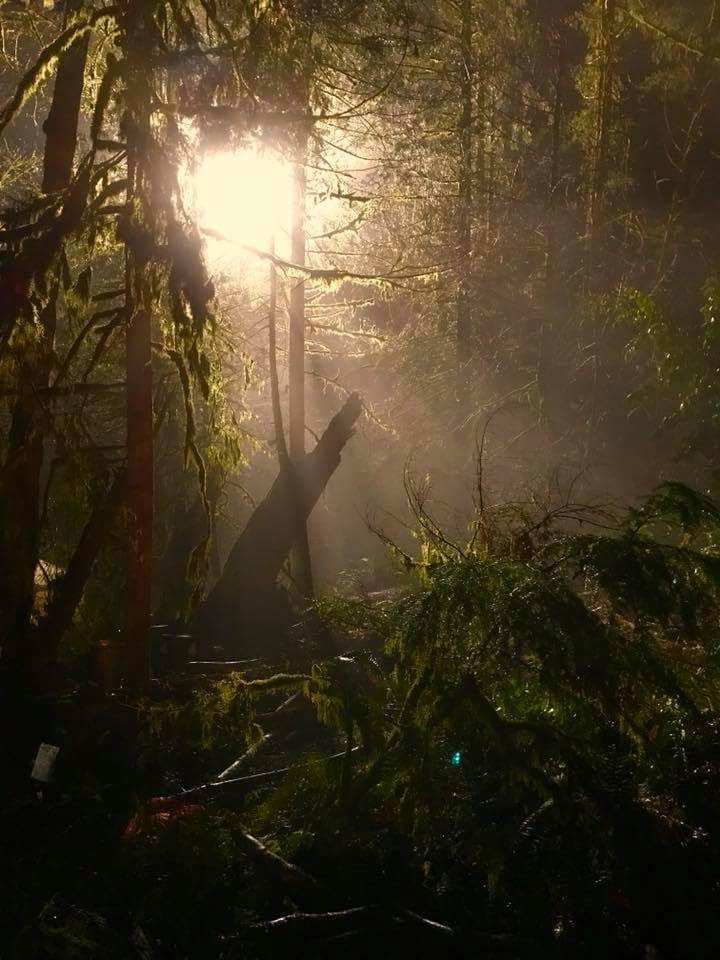 Yeni Predator filminin ilk fragmanı için geri sayım başladı