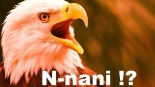 Ortalama 50 saat süren RPG oyununu 26 dakikada bitirdiler