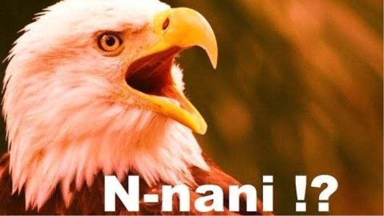 Ortalama 50 saat süren RPG oyununu 26 dakikada bitirdiler