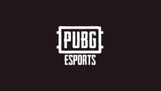 PUBG Global Series 2020 elemeleri ve detayları açıklandı