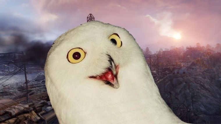 Steam ve Metro: Exodus olayı hakkında ortaya çıkan yeni gerçek