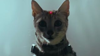 Shadow of the Tomb Raider'ın köpek ve kedili fragmanı yayınlandı