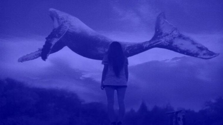 Mavi Balina bu kez başa bir intihar vakasına daha karıştı