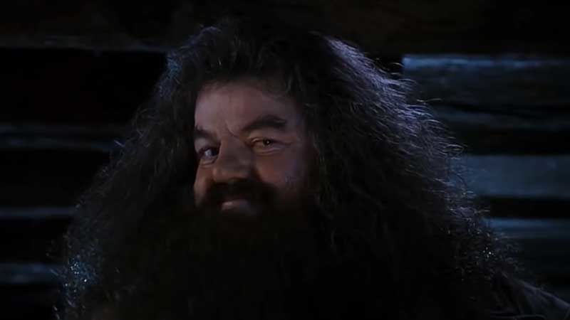 Harry Potter Hagrid - Robbie Coltrane