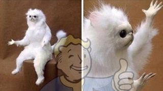 Fallout 76'nın betasını silmek için oyunu satın almanız gerekiyor