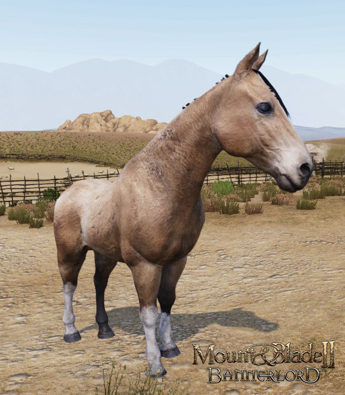 Mount & Blade II: Bannerlord'dan yeni ekran görüntüleri geldi