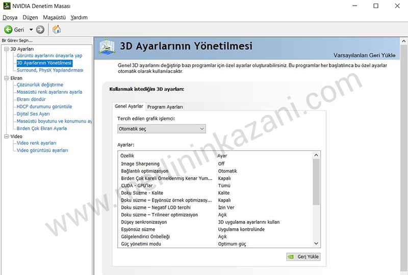 NVIDIA Grüntü Ayarları