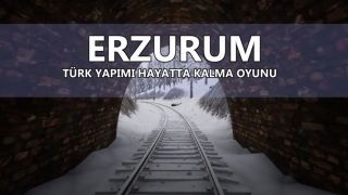 Erzurum, Türk yapımı açık dünya hayatta kalma oyunu
