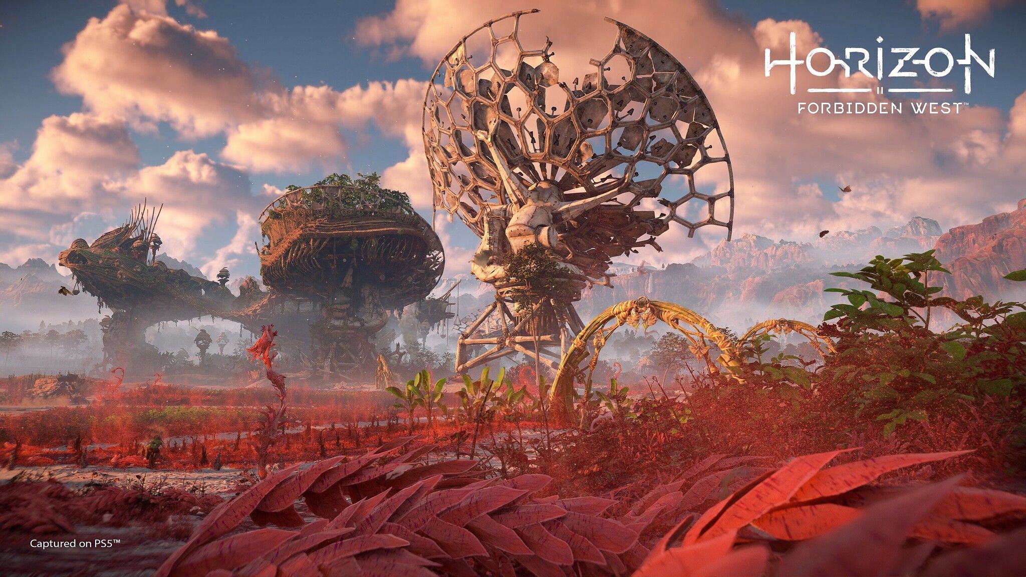 Horizon Forbidden West Complete Edition'ın PC Sürümü Geliyor