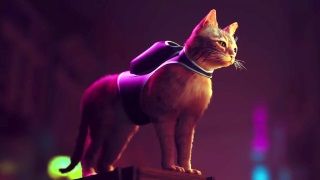 Stray sistem gereksinimleri açıkladı