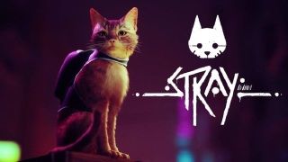 Stray inceleme