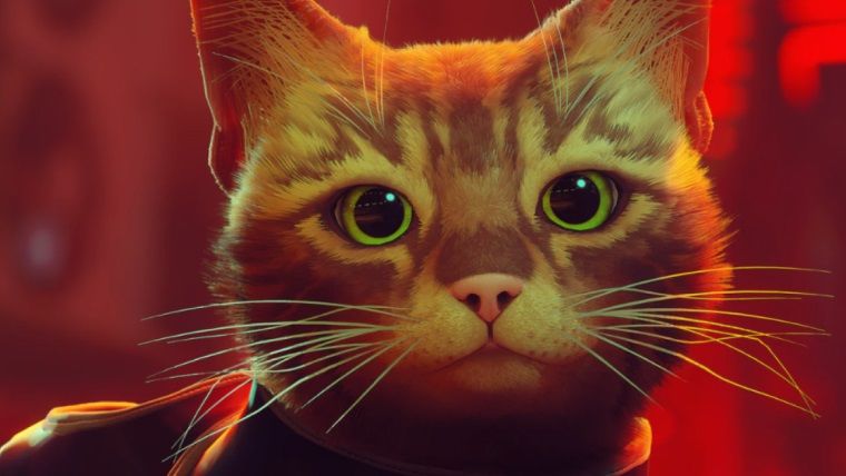 Stray oyuncu sayısı rekor kırdı