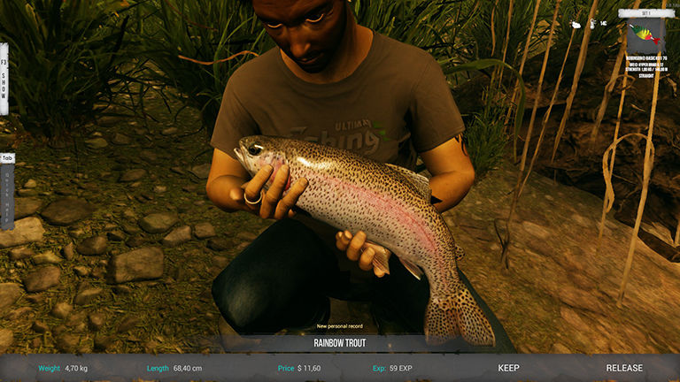 Ultimate Fishing Simulator 2 level sistemi