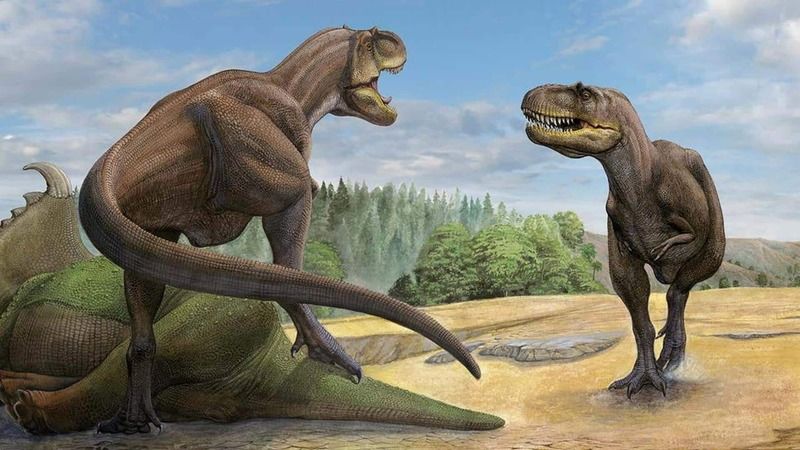 Tyrannosaurus’un Atası Keşfedildi: Khankhuuluu Tyrannosaurus’un Atası Keşfedildi: Khankhuuluu
