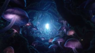 Google'ın oyun konsolu için teaser video yayınlandı!