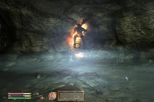 Oblivion her ekran kartında çalışabilir