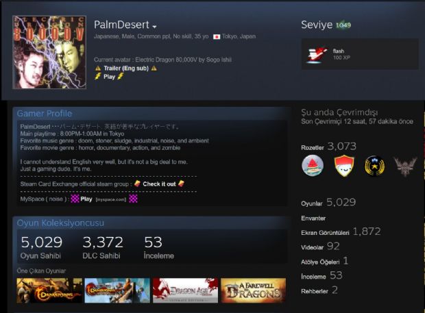 Oyunların yarısına sahip oyuncu Steam'de rekor kırdı!