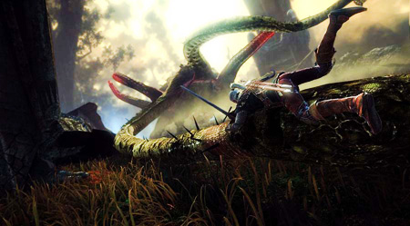 The Witcher 2: Assassins of Kings 11 dilde geliyor