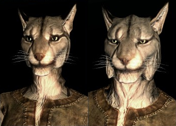 Elder Scrolls V: Skyrim rehberi 