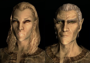 Elder Scrolls V: Skyrim rehberi 