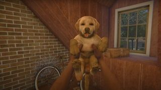 House Flipper oyununa evcil hayvanlar ekleniyor