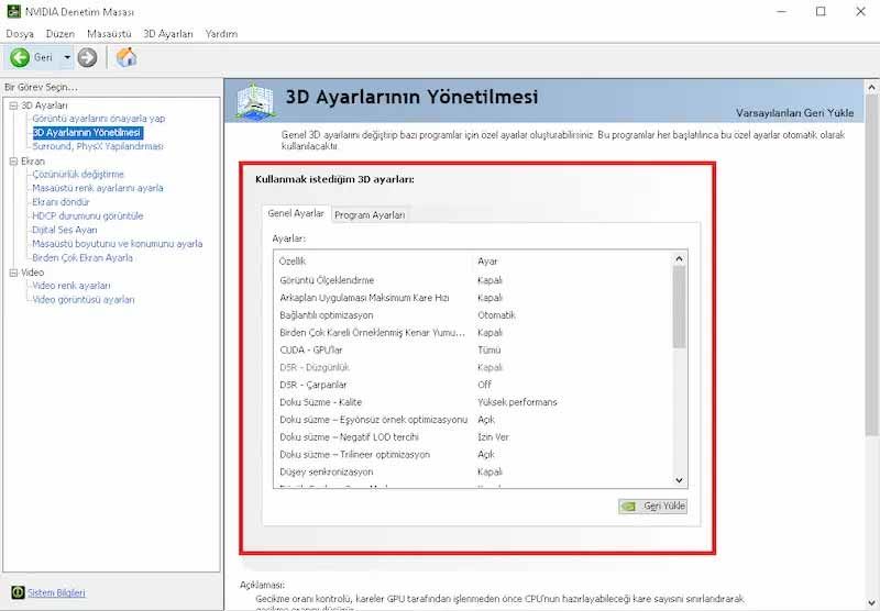 NVIDIA Ayarları - 2