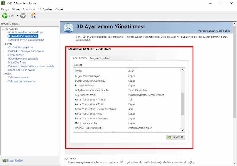 NVIDIA Ayarları - 4