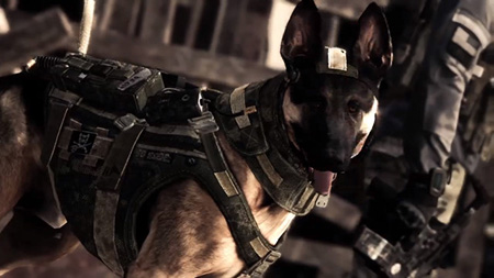 Call of Duty: Ghosts 